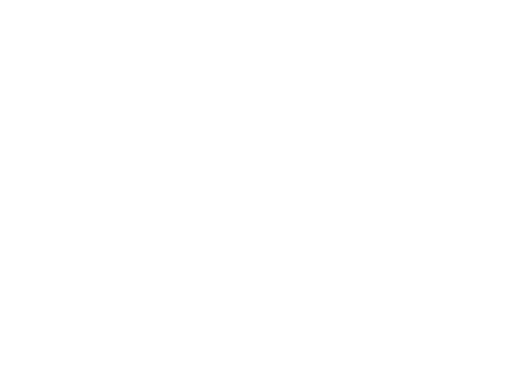 Líder Frutas